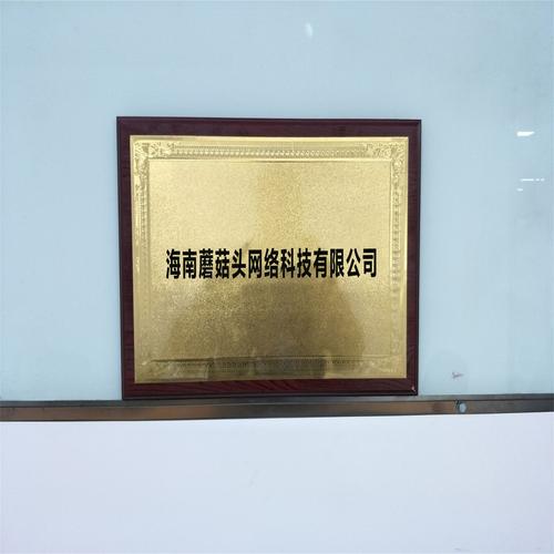 海南蘑菇头网络科技